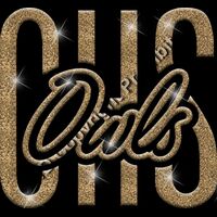 GLT95 GOLD GLITTER Thumbnail